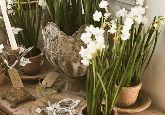 Yay spring....................