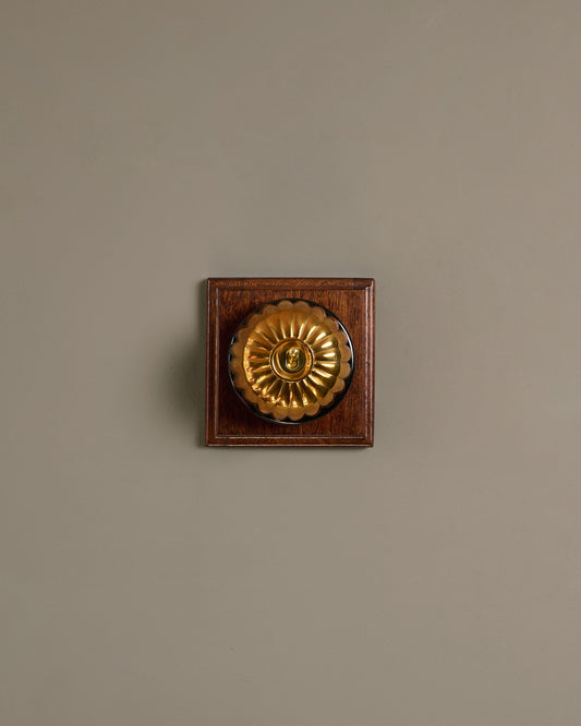 The Jelly Toggle Switch (1 Gang & Mahogany Finish Pattress) - Heirloom Brass with Black Base.
