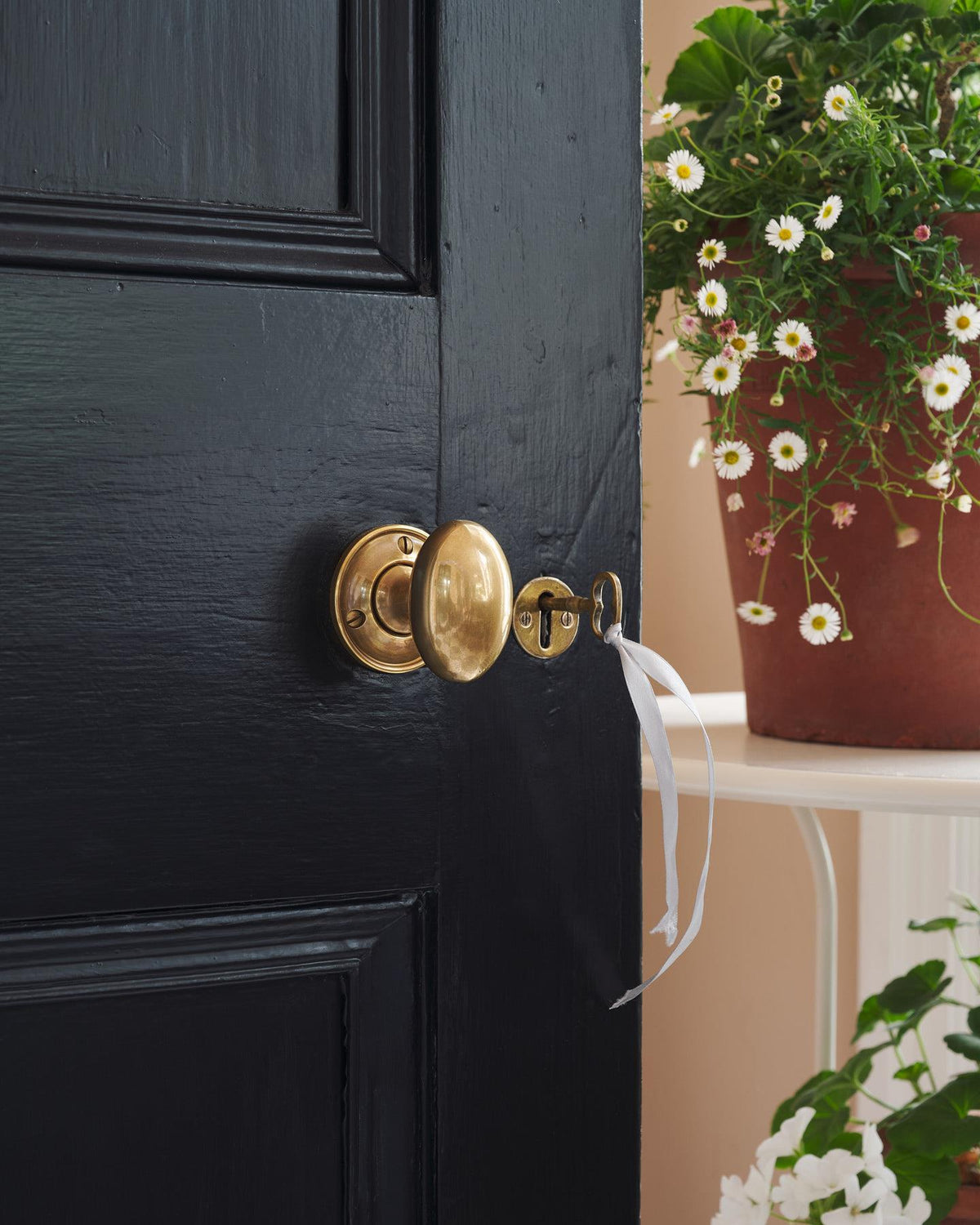 |Romilly Backplate shown TEST