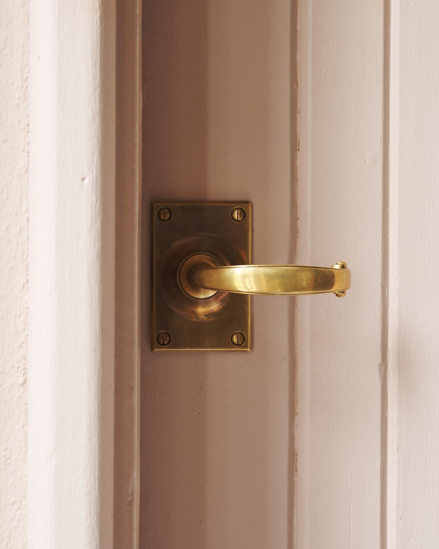 The Ottilie Door Handle with Ottilie Backplate