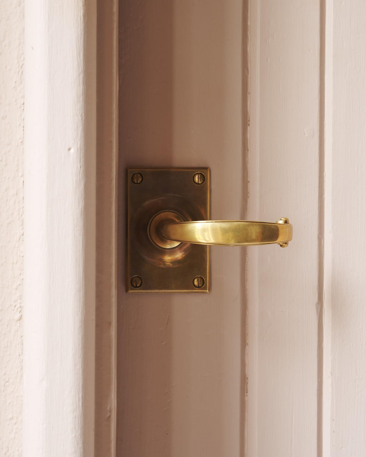 The Ottilie Door Handle with Ottilie Backplate TEST