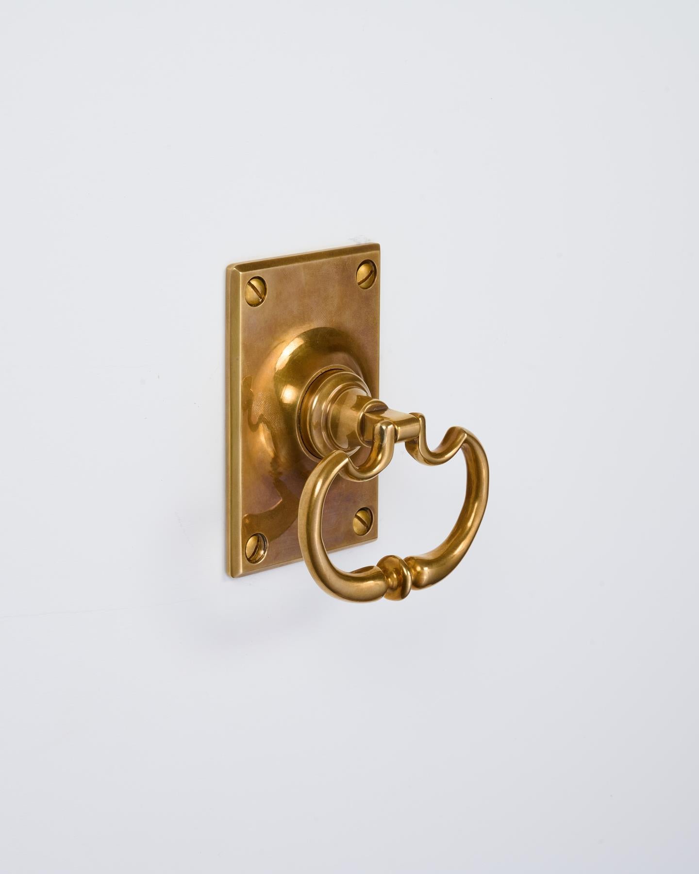 The Eglantine Drop Handle with Ottilie Backplate