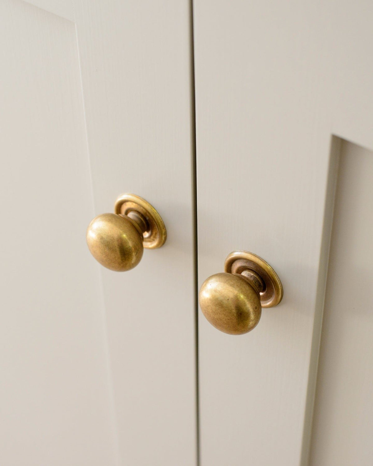 An oblique view of a pair of round doorknobs with pressed backplates in a burnished 'Bella' brass finish, fitted to cream painted cupboard doors.|Bella Brass Medium shown TEST