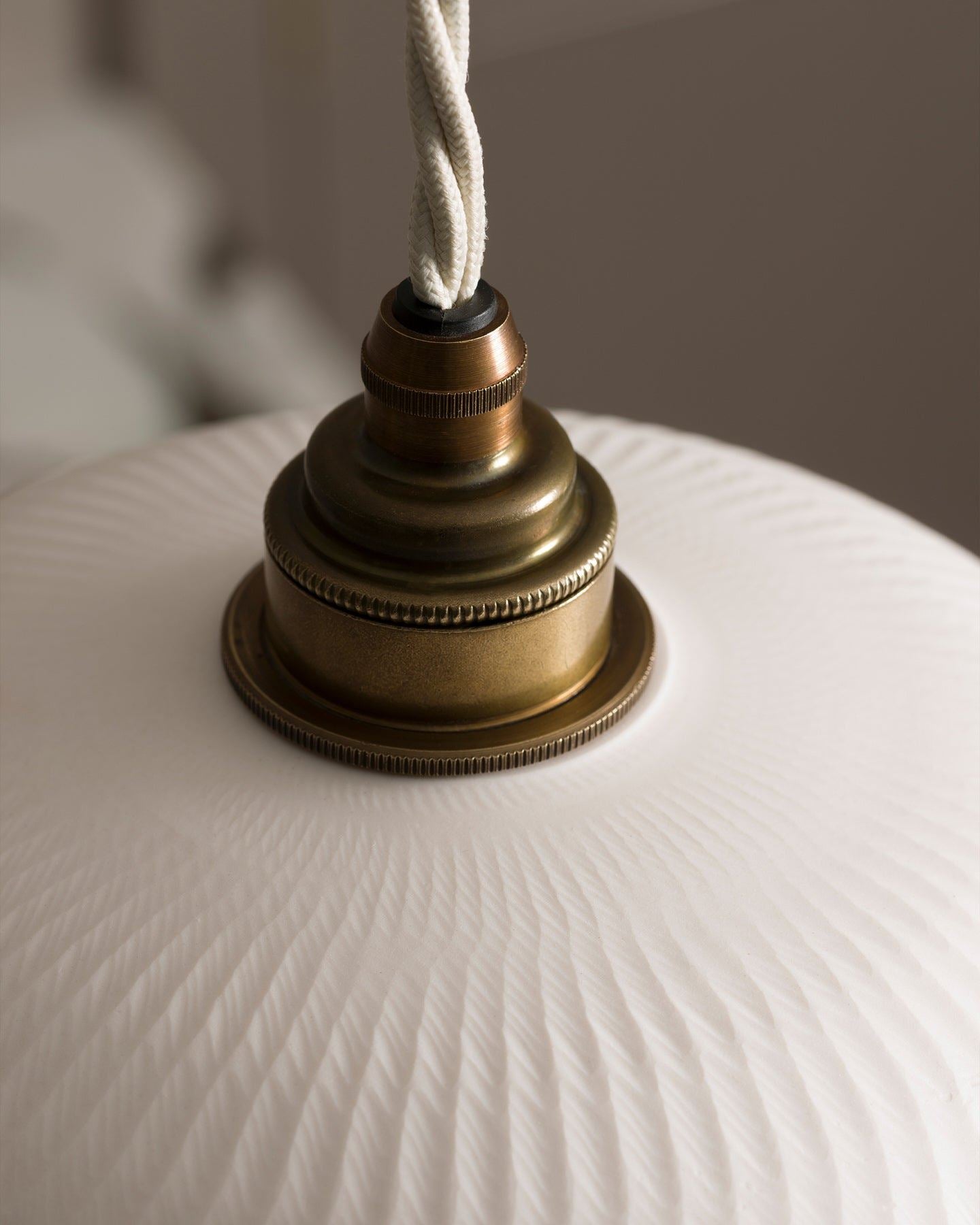 Large Chattered Skullcap Porcelain Plug-in Light