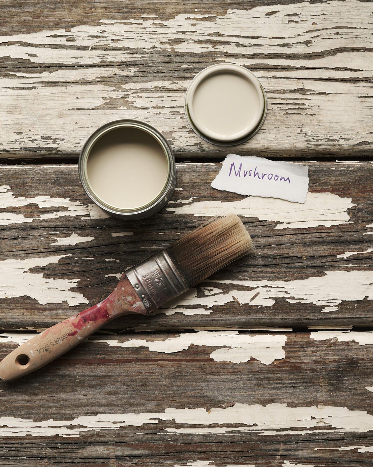 An overhead view of an open paint pot and a worn brush on a rustic tabletop. The creamy mushroom colour inside is labelled 'Mushroom'. TEST