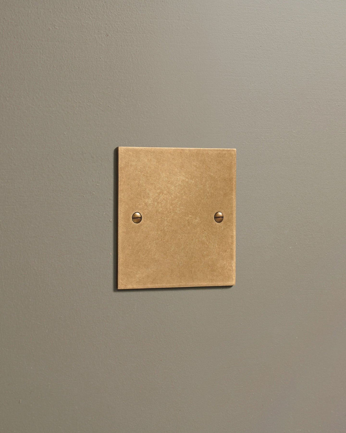 Aged Brass Classic Blank Plate TEST