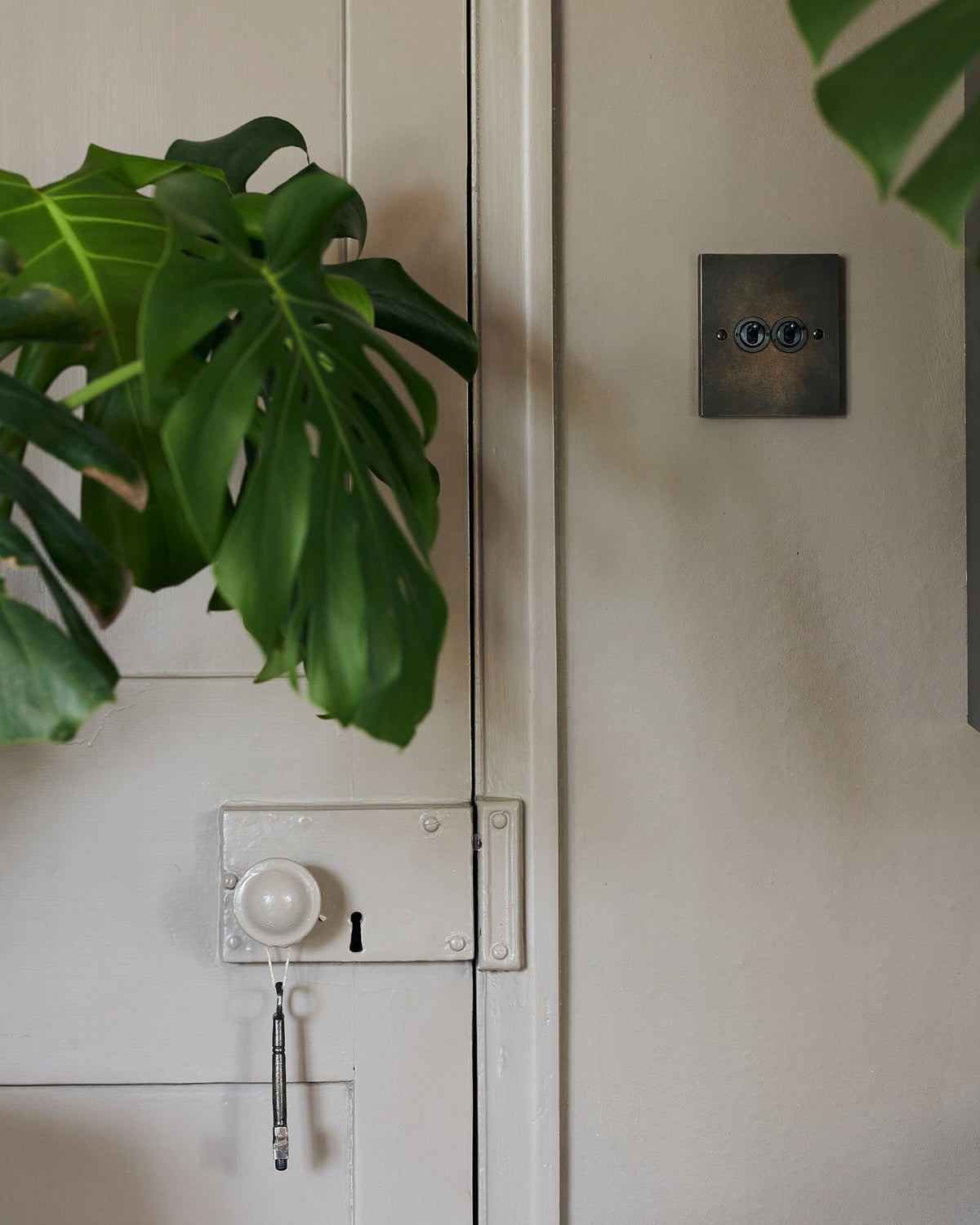 A straight-on view of a 2 gang box toggle switch in a dark oxidised brass finish on a grey wall with a large green monstera leaf on the left. | 2 Gang shown TEST