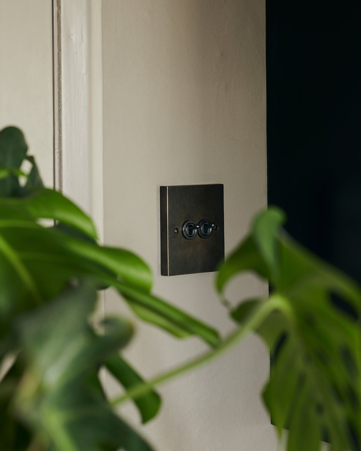 An oblique view of a 2 gang box toggle switch in a dark oxidised brass finish on a grey wall with a large green monstera leaves in the foreground. TEST