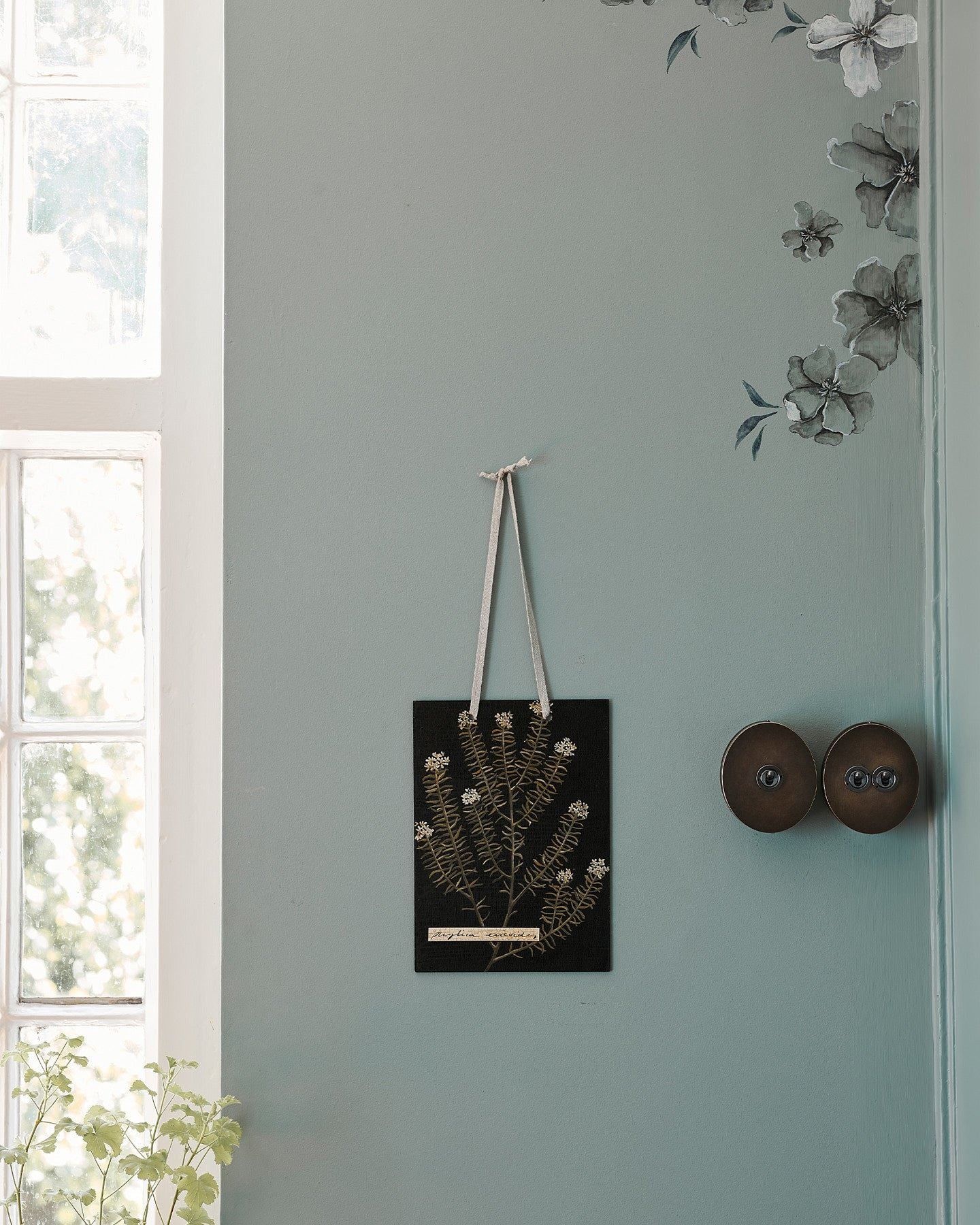 Two oval-shaped toggle switches, a 1 gang and a 2 gang, in a dark oxidised brass finish, on a duck-egg blue wall with botanical oil paintings nearby.